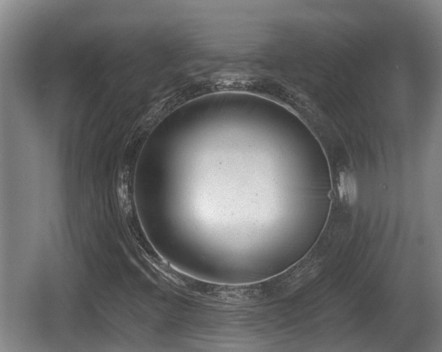 X0000062791396200512261543