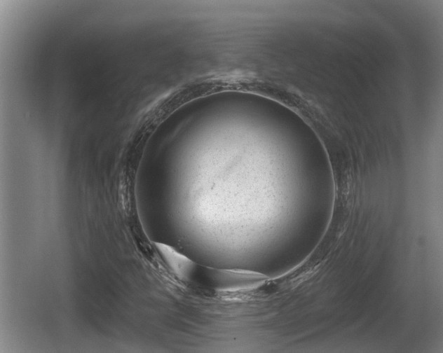 X0000062791398200512261543
