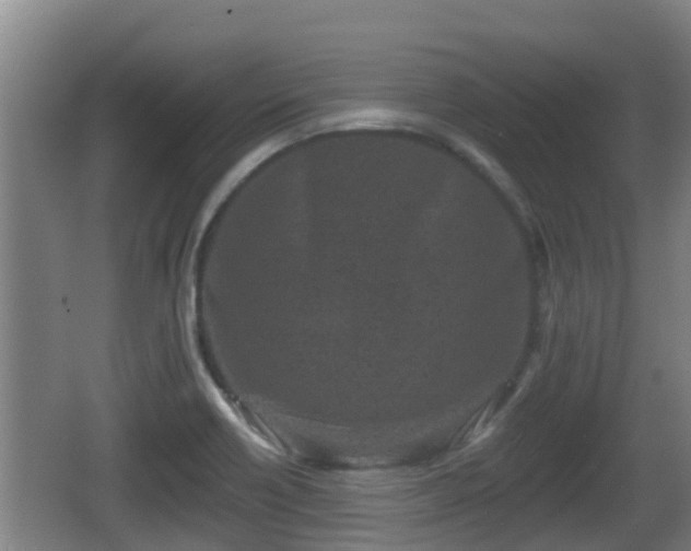 X0000062791418200512261543