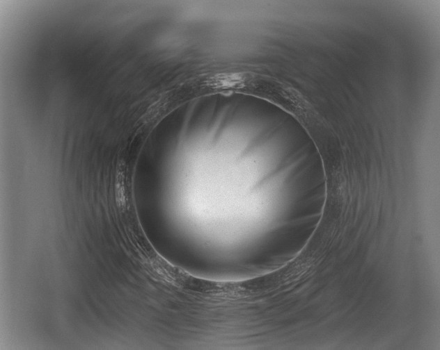 X0000062791442200512261543