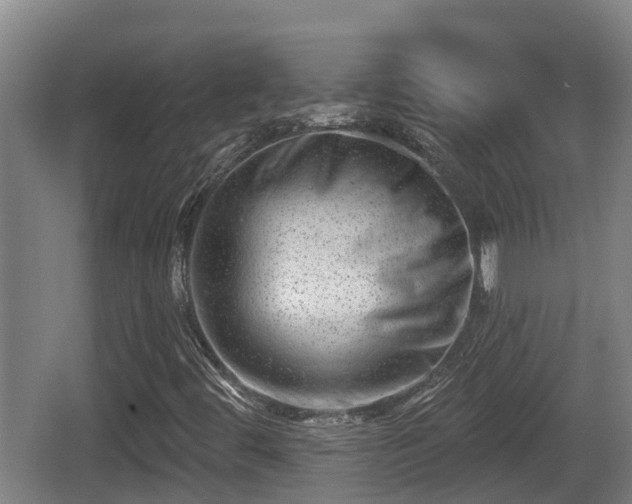 X0000062791444200512261543