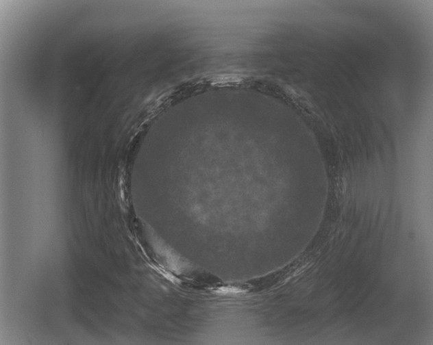 X0000062791445200512261543