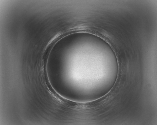 X0000062791450200512261543