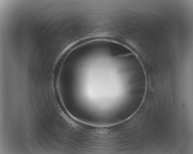 X0000062791452200512261543