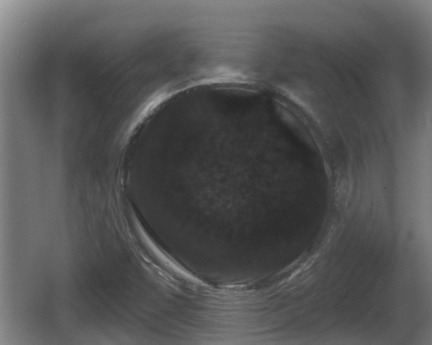 X0000062791455200512261543