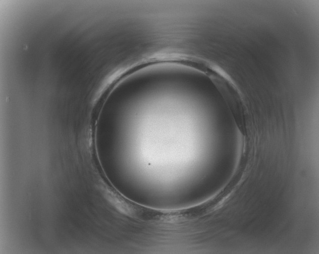 X0000062791461200512261542