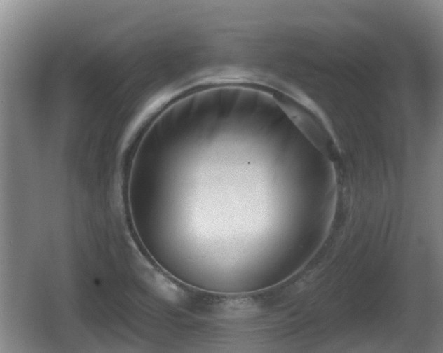 X0000062791464200512261542
