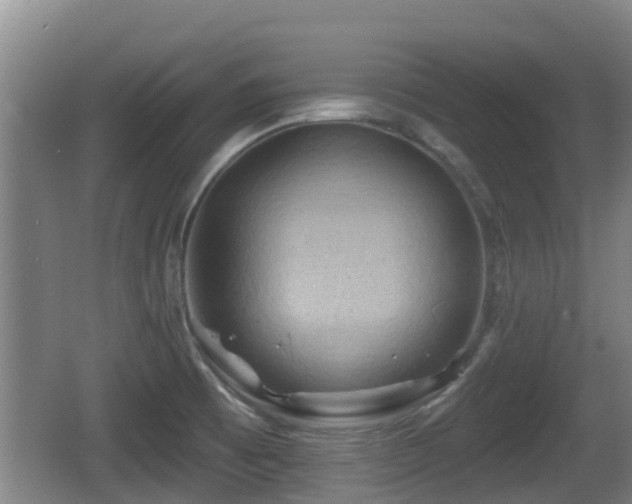X0000062791473200512261542