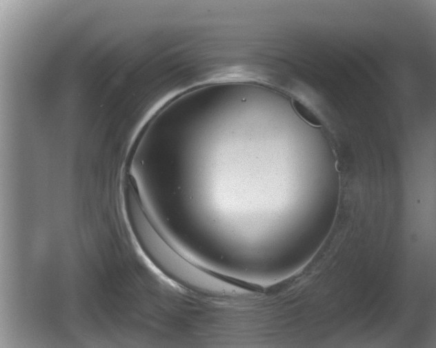 X0000062791476200512261542