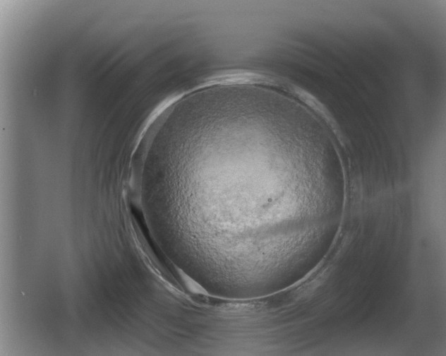 X0000062791481200512261542
