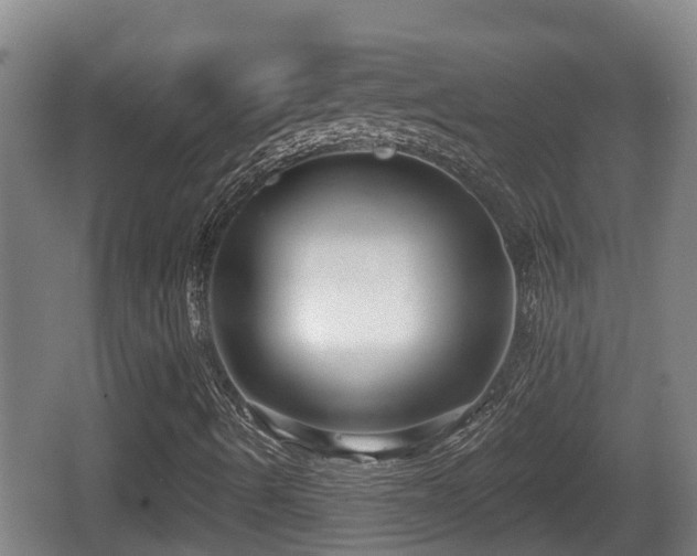 X0000062791490200512261541