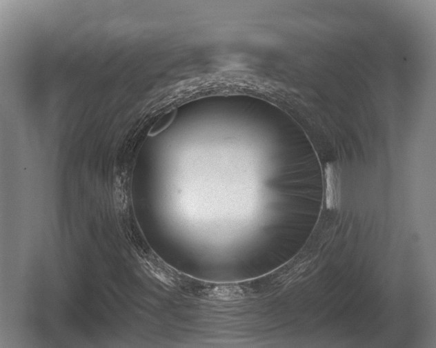 X0000062791491200512261541