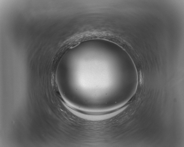 X0000062791492200512261541