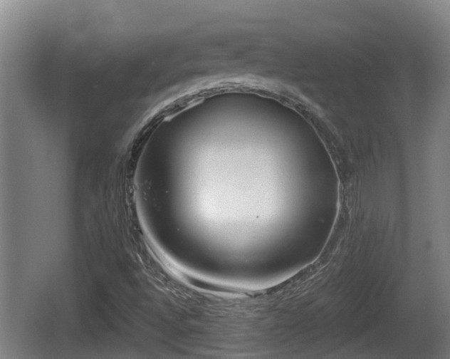 X0000062791496200512261541