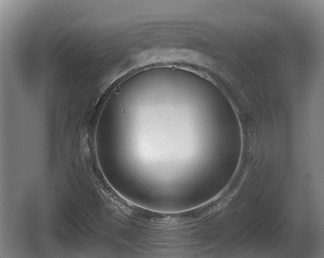 X0000062791497200512261541