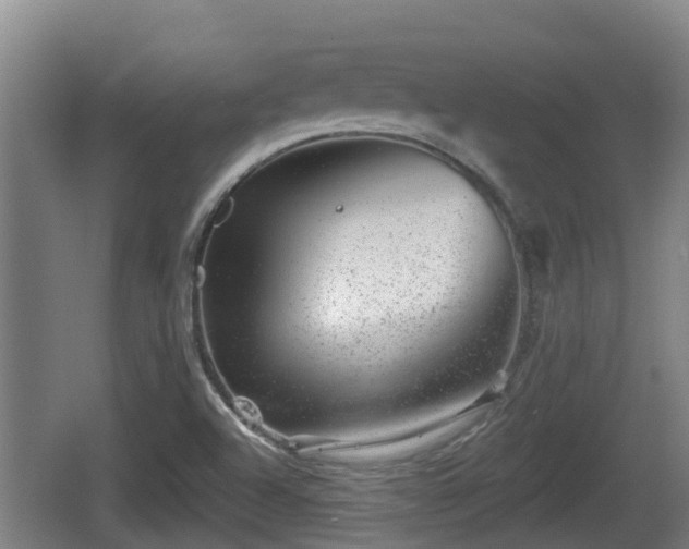 X0000062791504200512261541