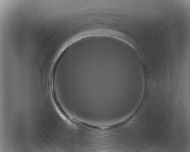 X0000062791515200512261542