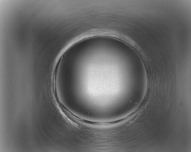 X0000062791520200512261542