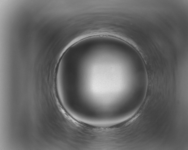 X0000062791534200512261542