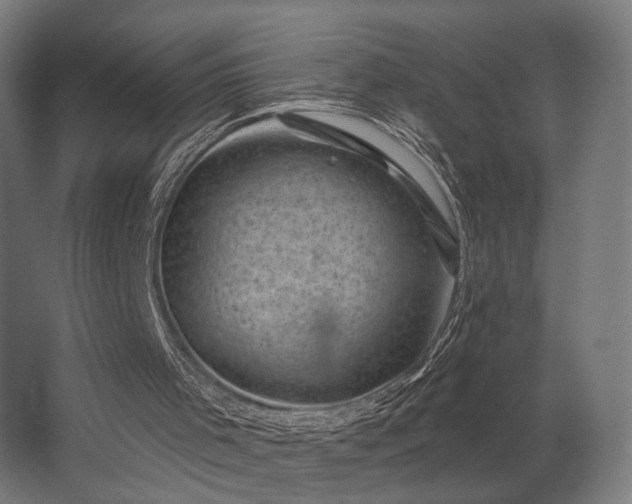 X0000062790001200512290235