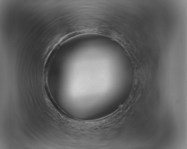 X0000062790002200512290235