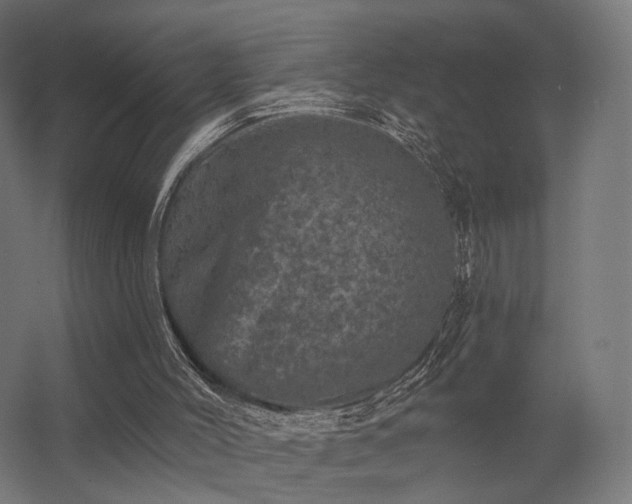 X0000062790004200512290234