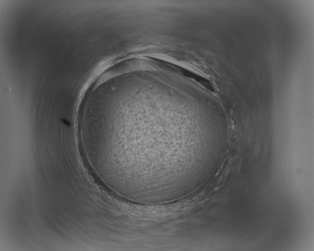 X0000062790006200512290234