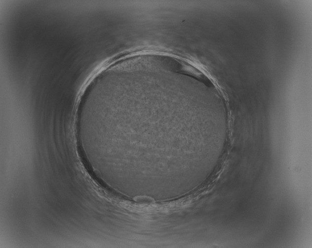 X0000062790007200512290234