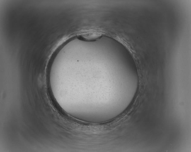 X0000062790008200512290234