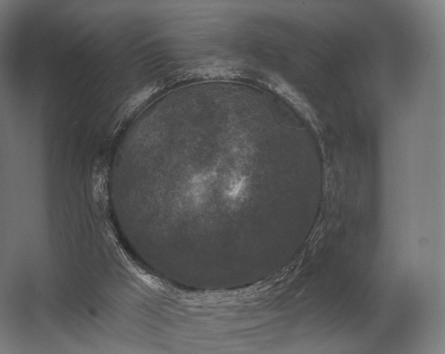 X0000062790009200512290234