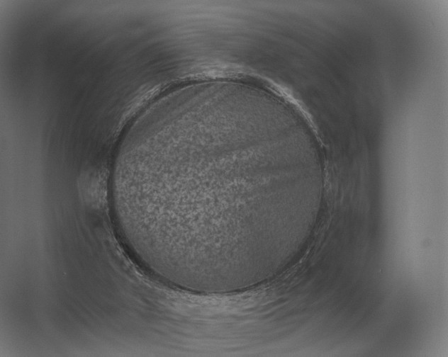 X0000062790010200512290234