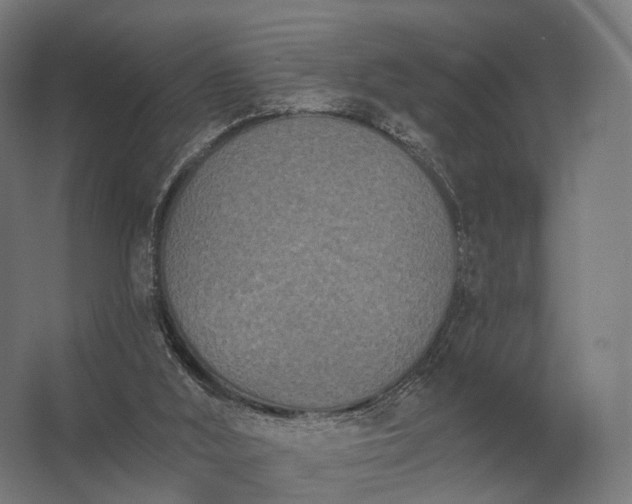 X0000062790012200512290234