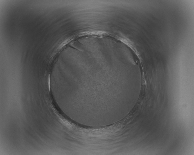 X0000062790013200512290234