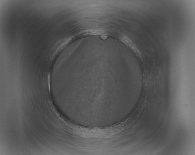 X0000062790014200512290234