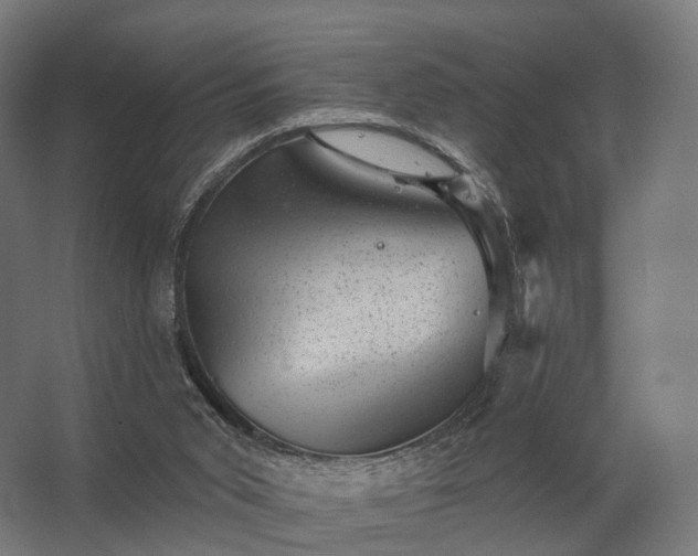 X0000062790015200512290234