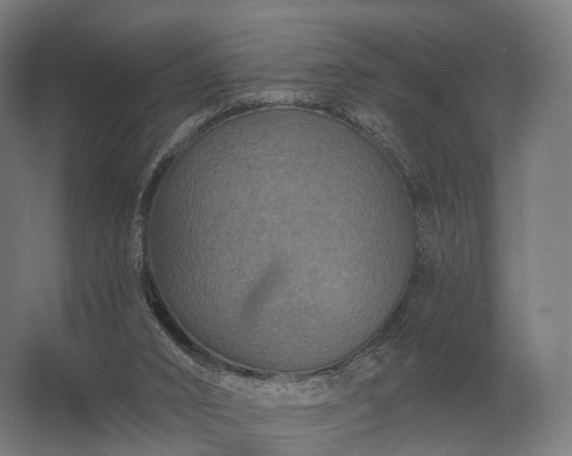 X0000062790016200512290234