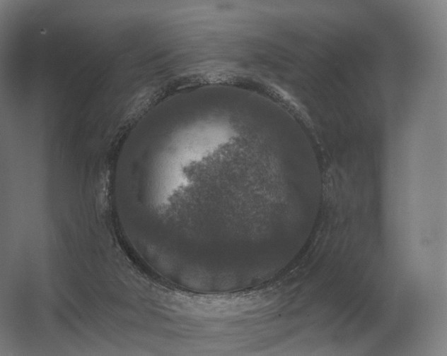 X0000062790018200512290234