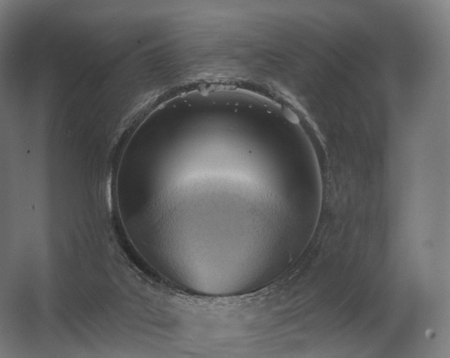 X0000062790019200512290234