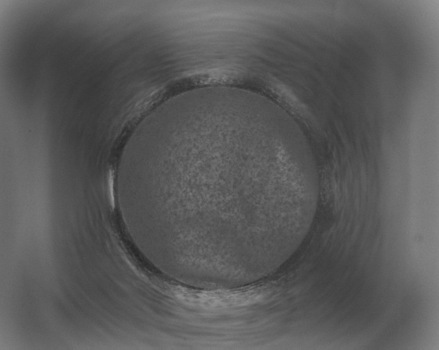 X0000062790022200512290234