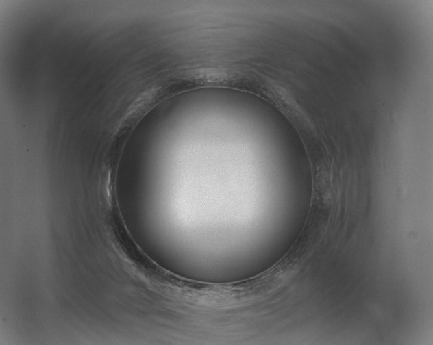 X0000062790024200512290234