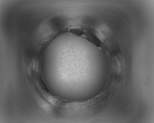 X0000062790025200512290234