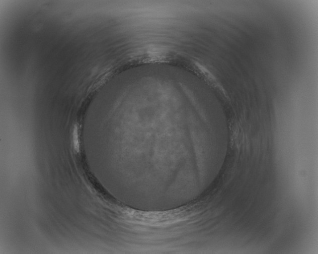 X0000062790026200512290234