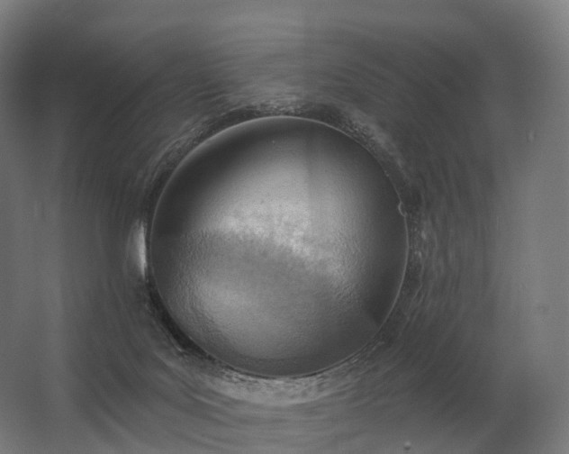 X0000062790027200512290234