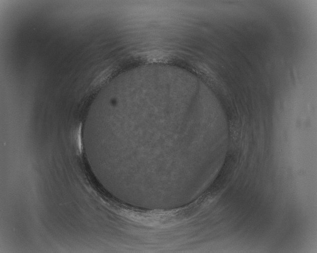 X0000062790028200512290234