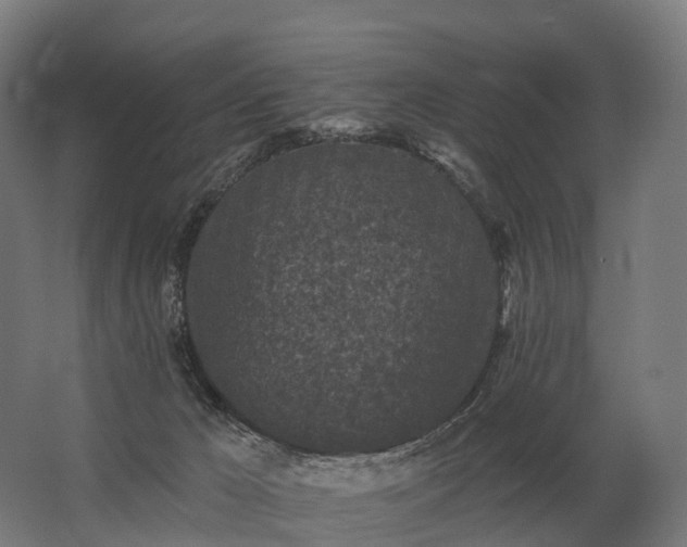 X0000062790029200512290234