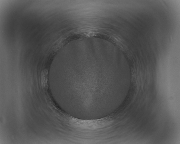 X0000062790030200512290234