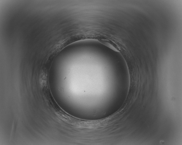 X0000062790033200512290234