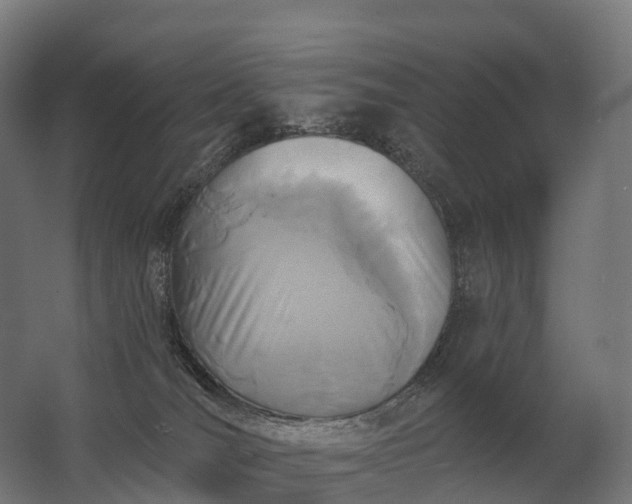 X0000062790036200512290234