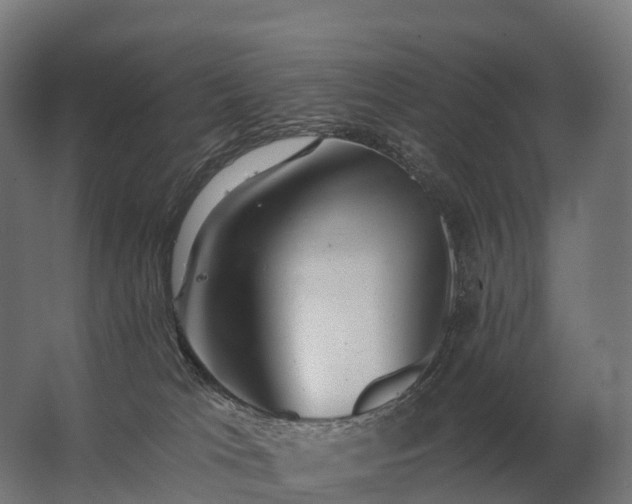 X0000062790037200512290234