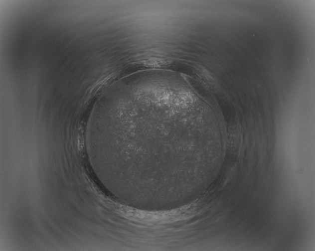 X0000062790043200512290234